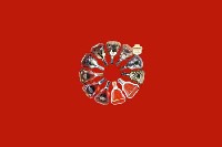 泗水回收红酒